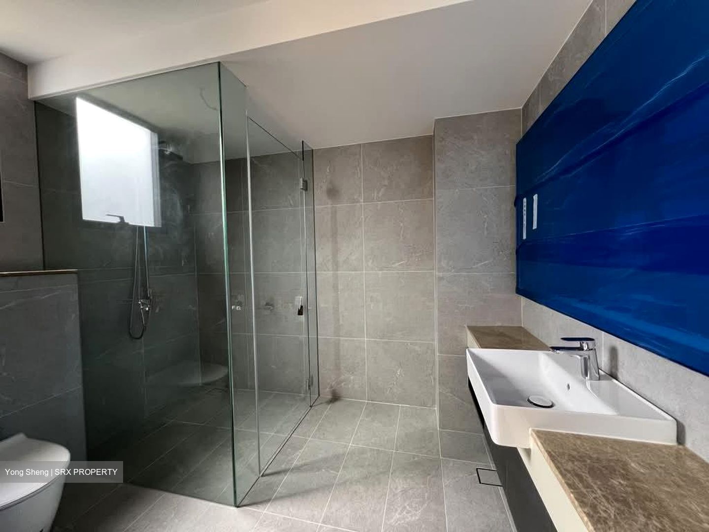 Seletar Hills Estate (D28), Terrace #587212691